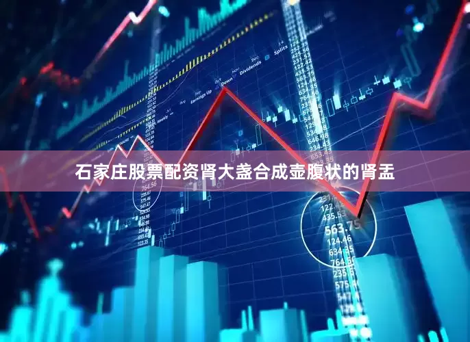 石家庄股票配资肾大盏合成壶腹状的肾盂