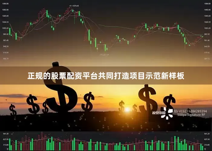 正规的股票配资平台共同打造项目示范新样板