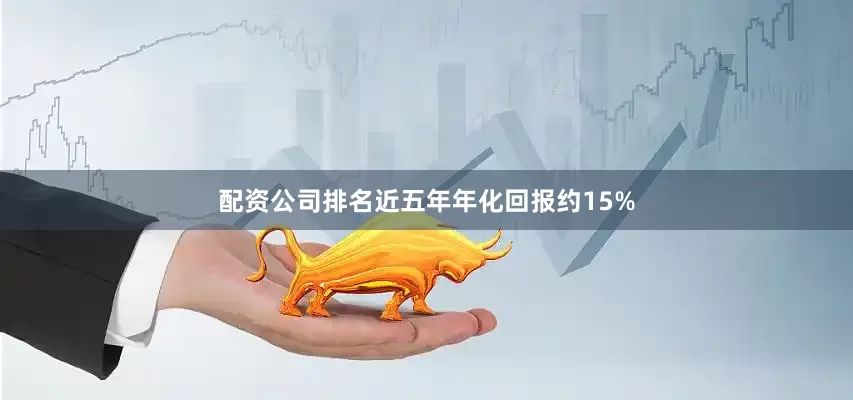 配资公司排名近五年年化回报约15%
