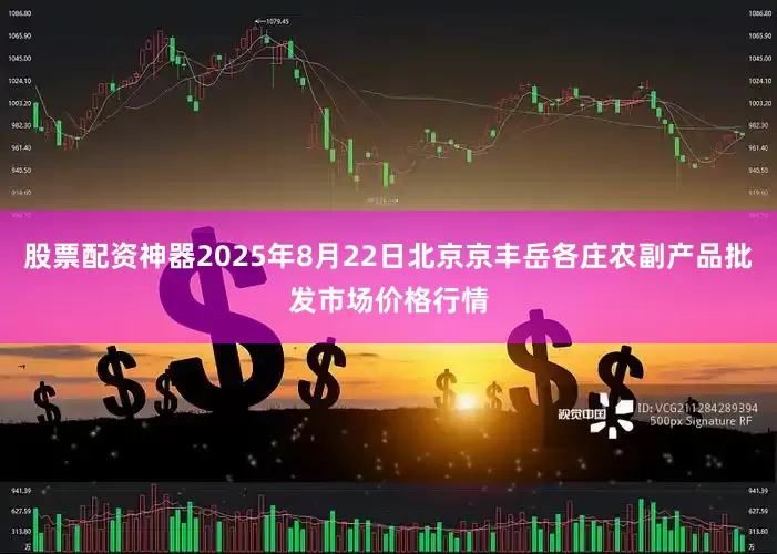 股票配资神器2025年8月22日北京京丰岳各庄农副产品批发市场价格行情