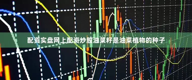 配资实盘网上配资炒股油菜籽是油菜植物的种子